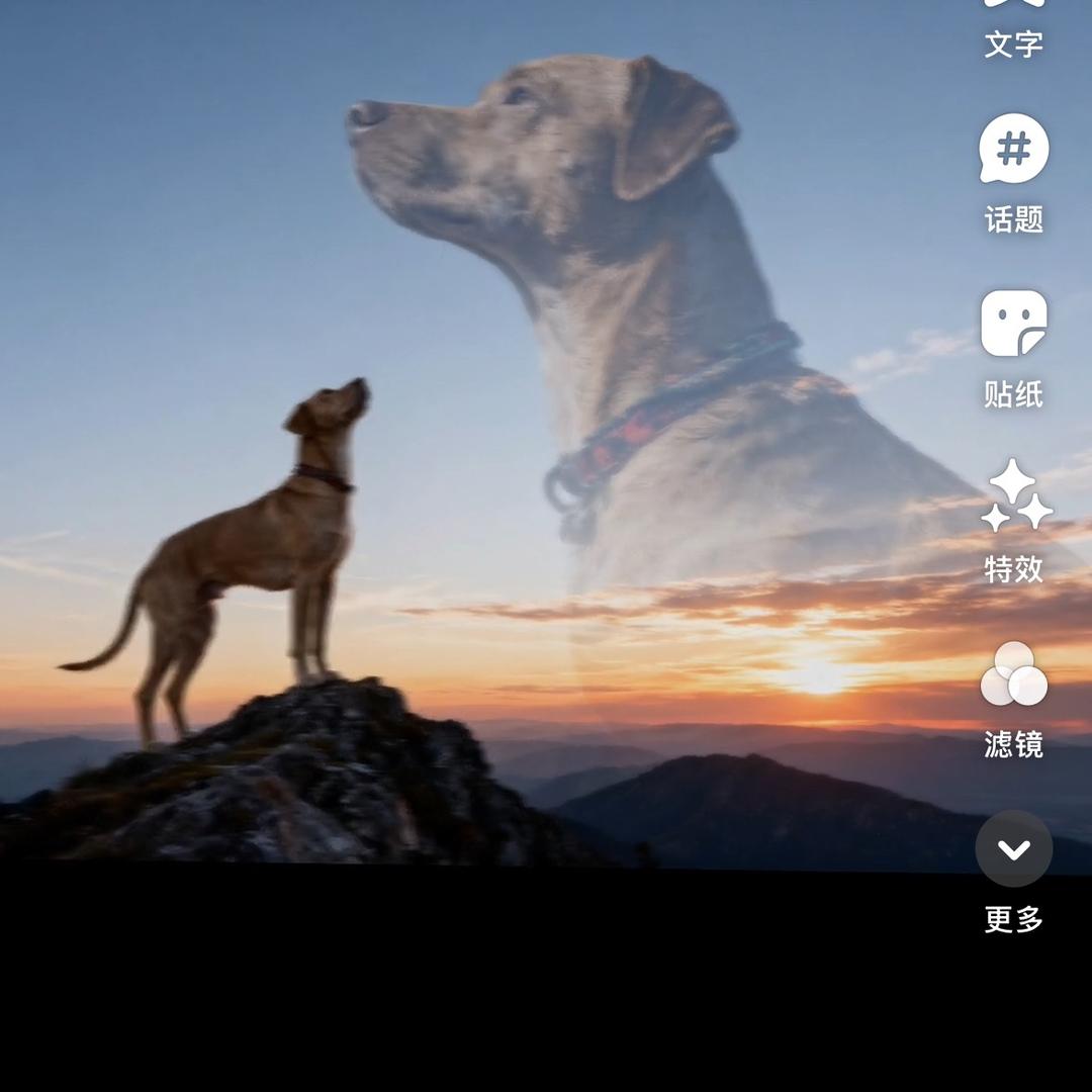 任先生(公益护农)