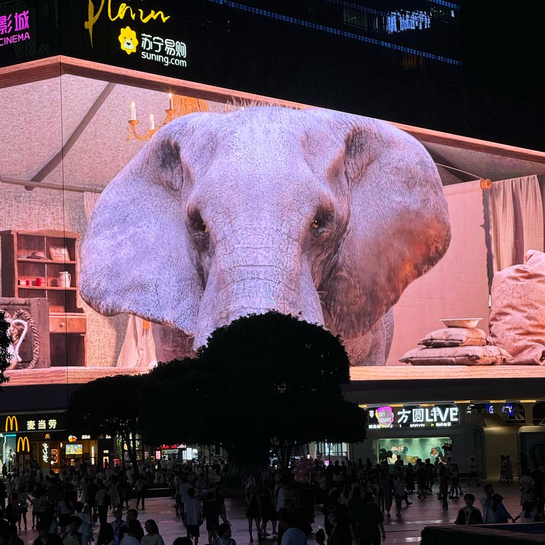 哈顿