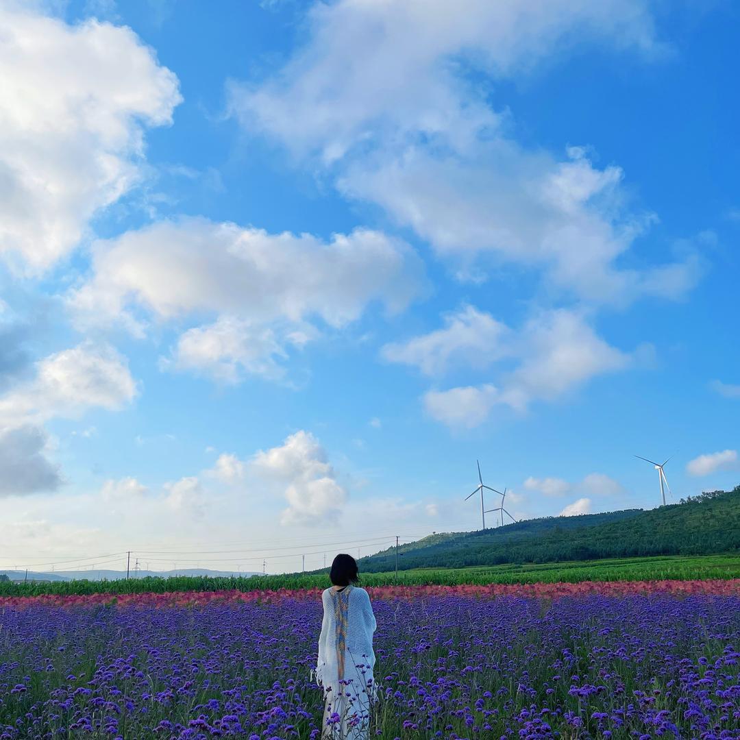 涿鹿县一二三餐火锅鸡-大骨头