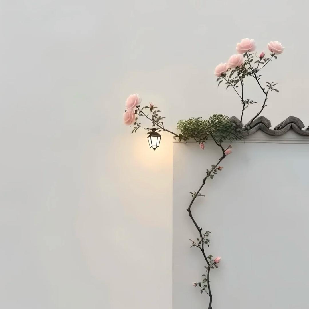 橙子