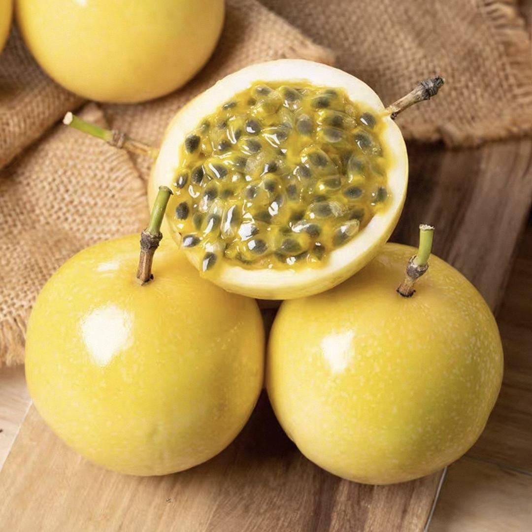 广东种成农业高州店