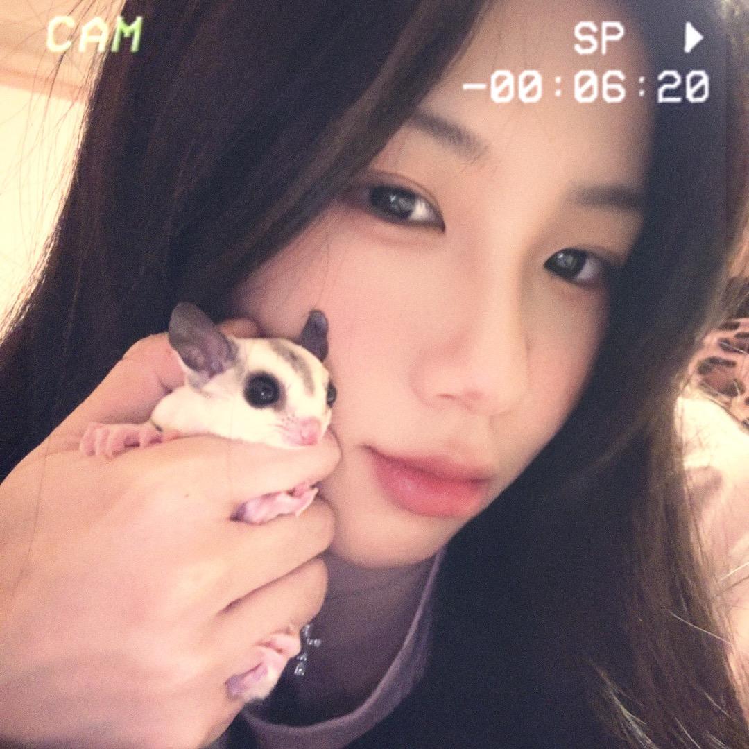 猫九（恩施小薄荷）