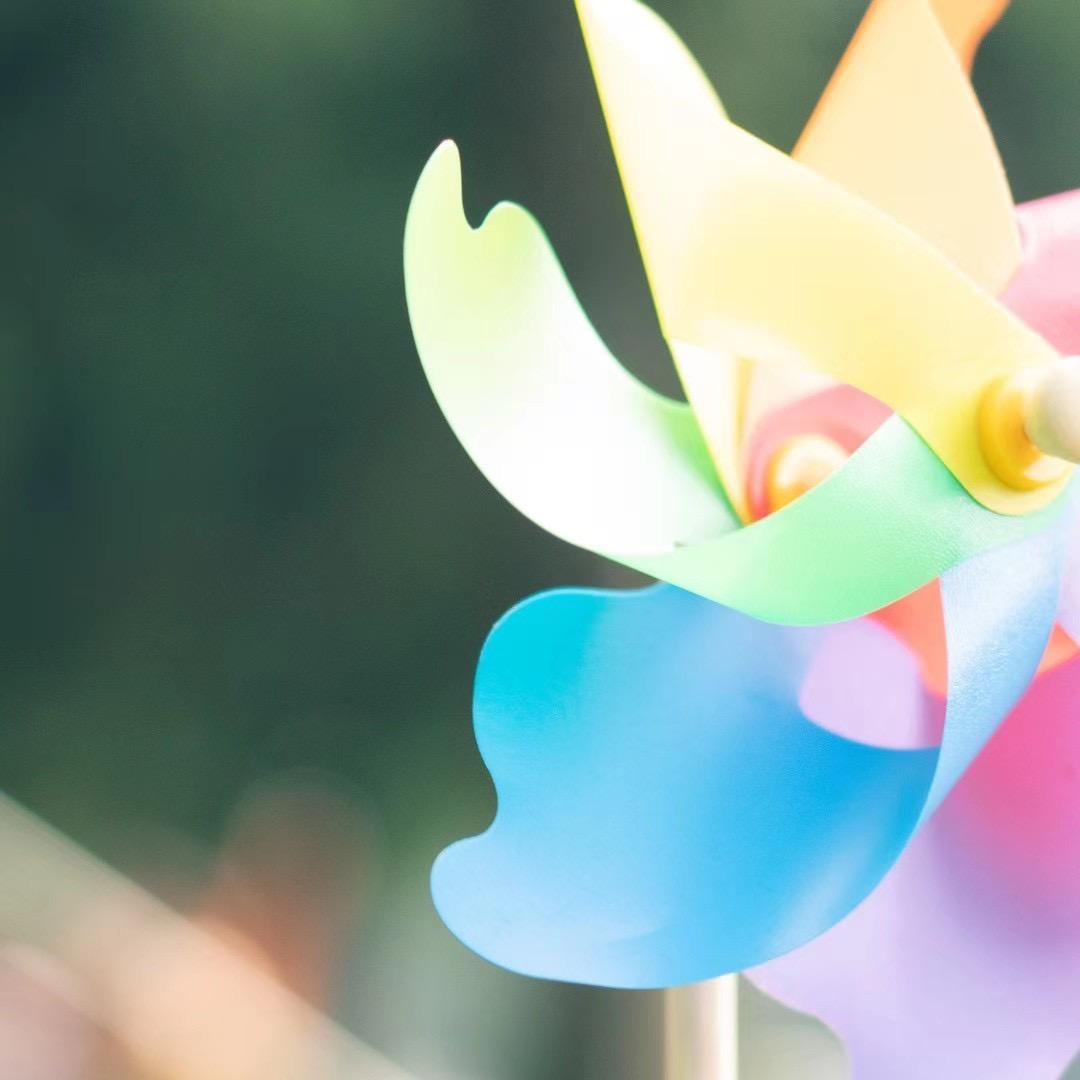 向上的向日葵🌻