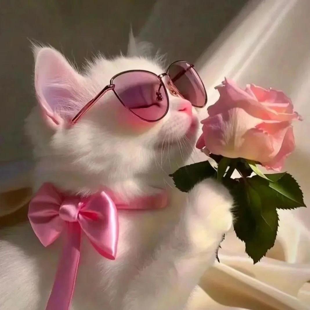 ✿麻辣炖夜叉✿