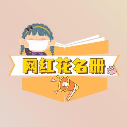 网红花名册