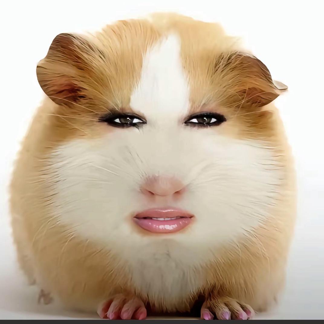 我不想吃猪头肉了⌓‿⌓