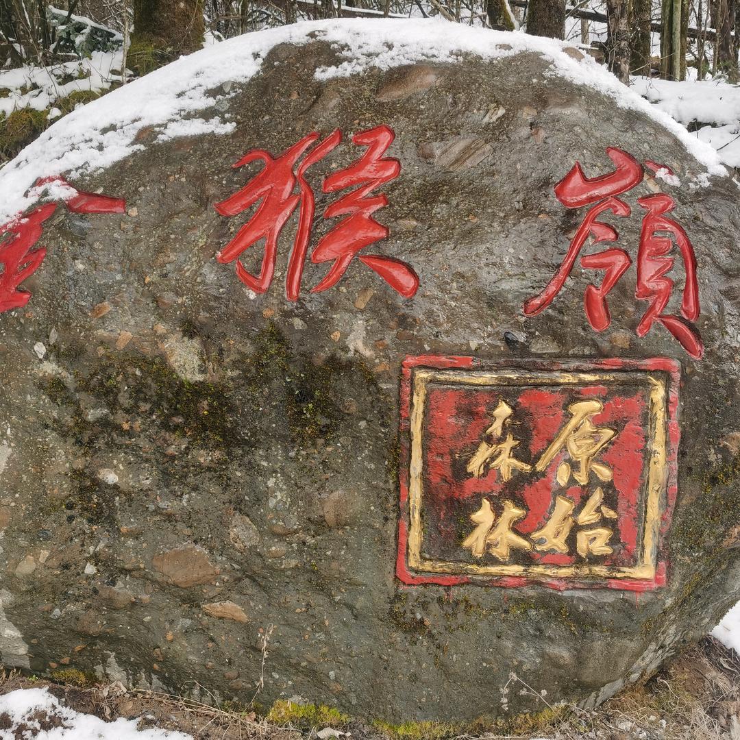 叁拾贰号