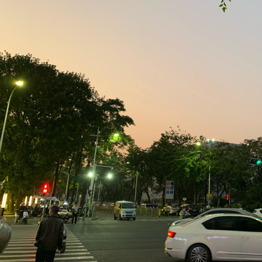 鹏安驾校夏野.（狂躁版）