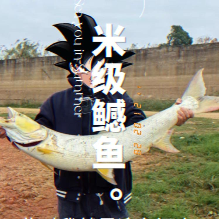 路亚乔