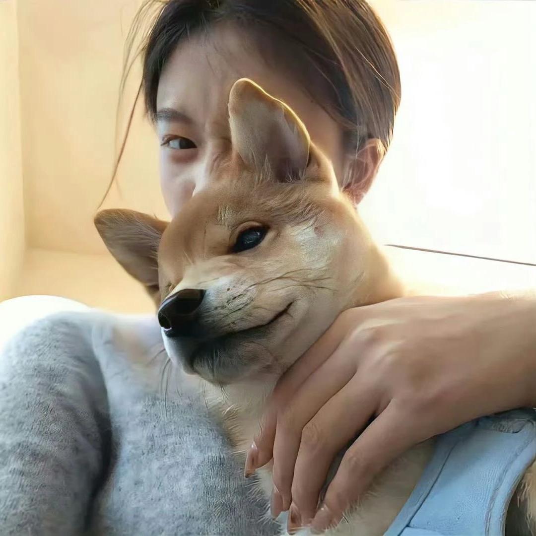 不爱吃糖🍬