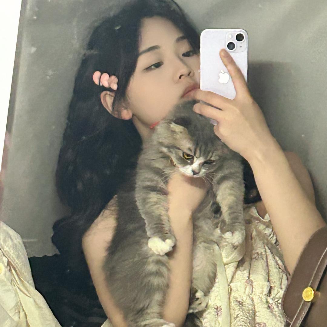 三心蕊儿