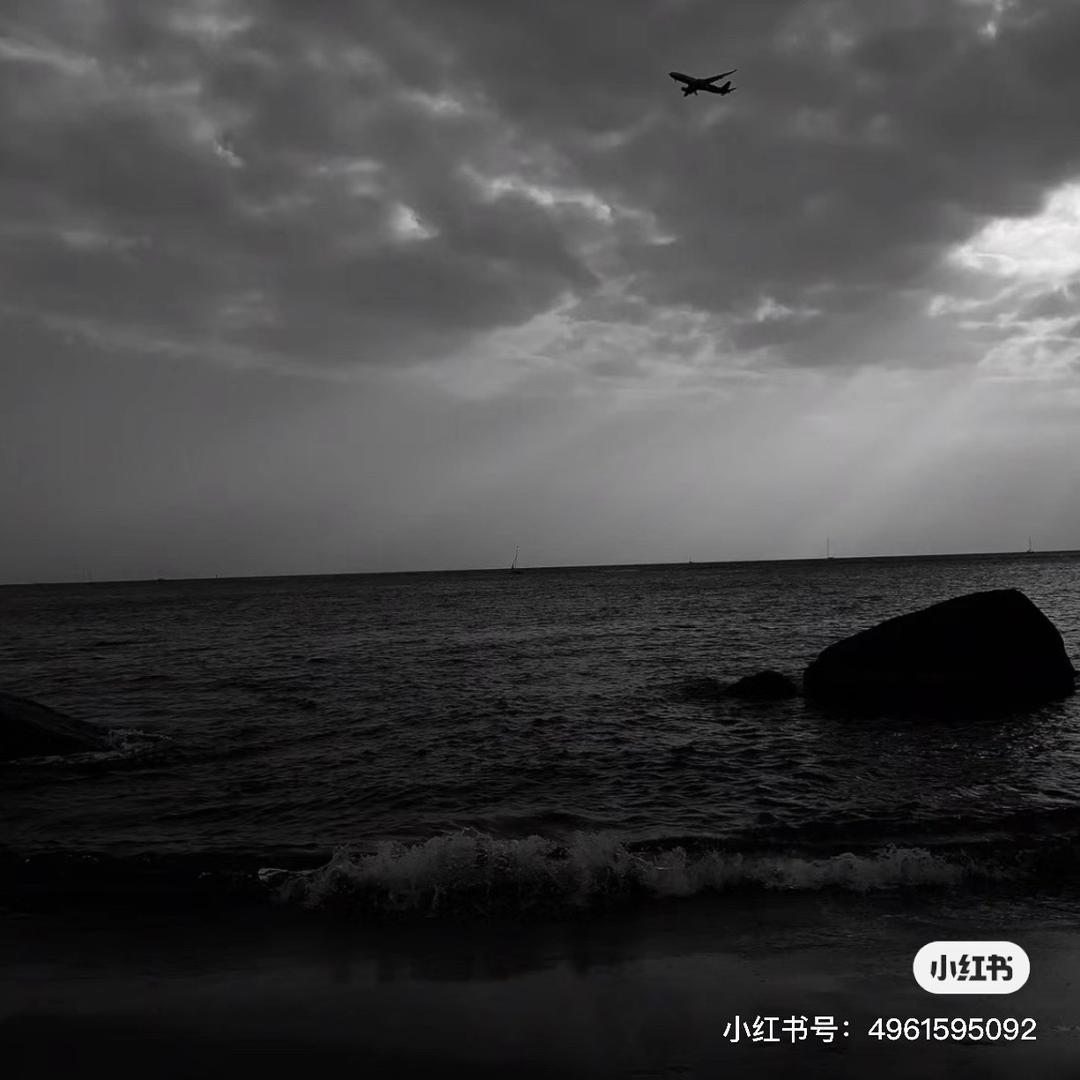 罗罗亚· げんじ