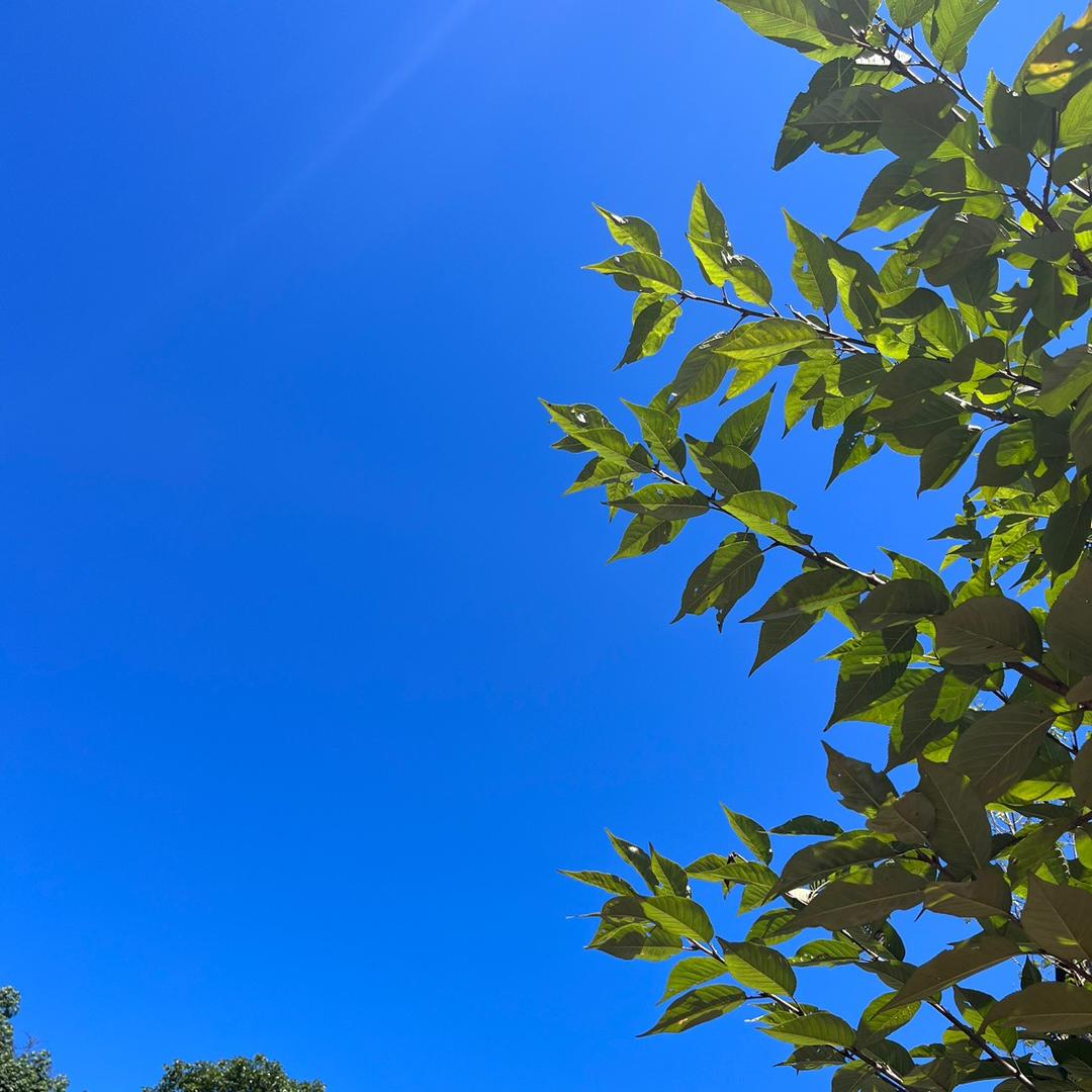 智能机