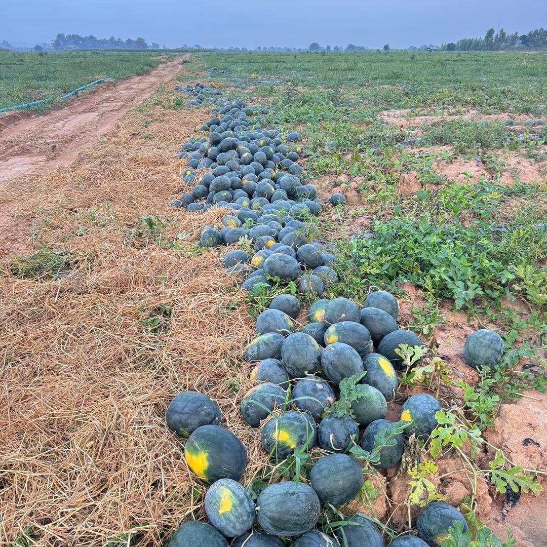 小康