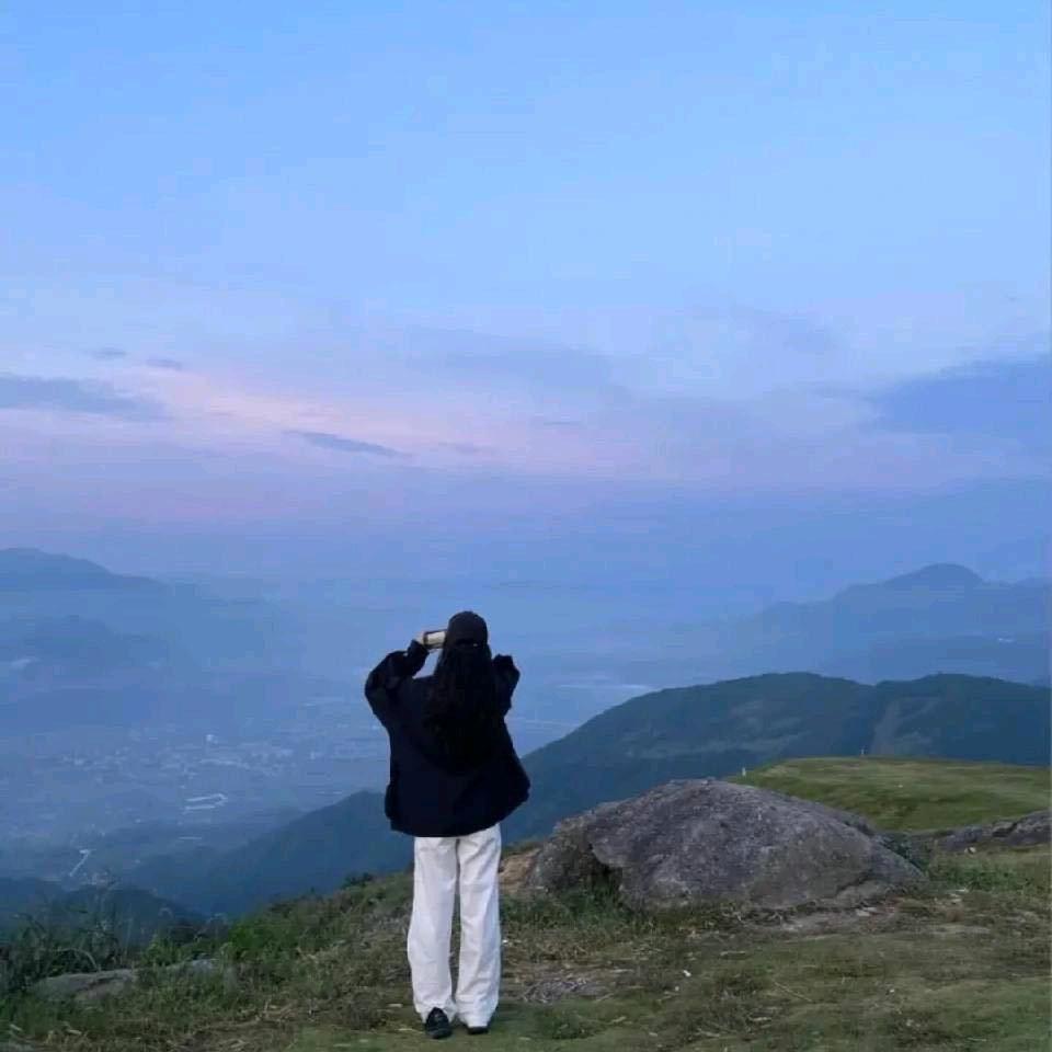 .yang
