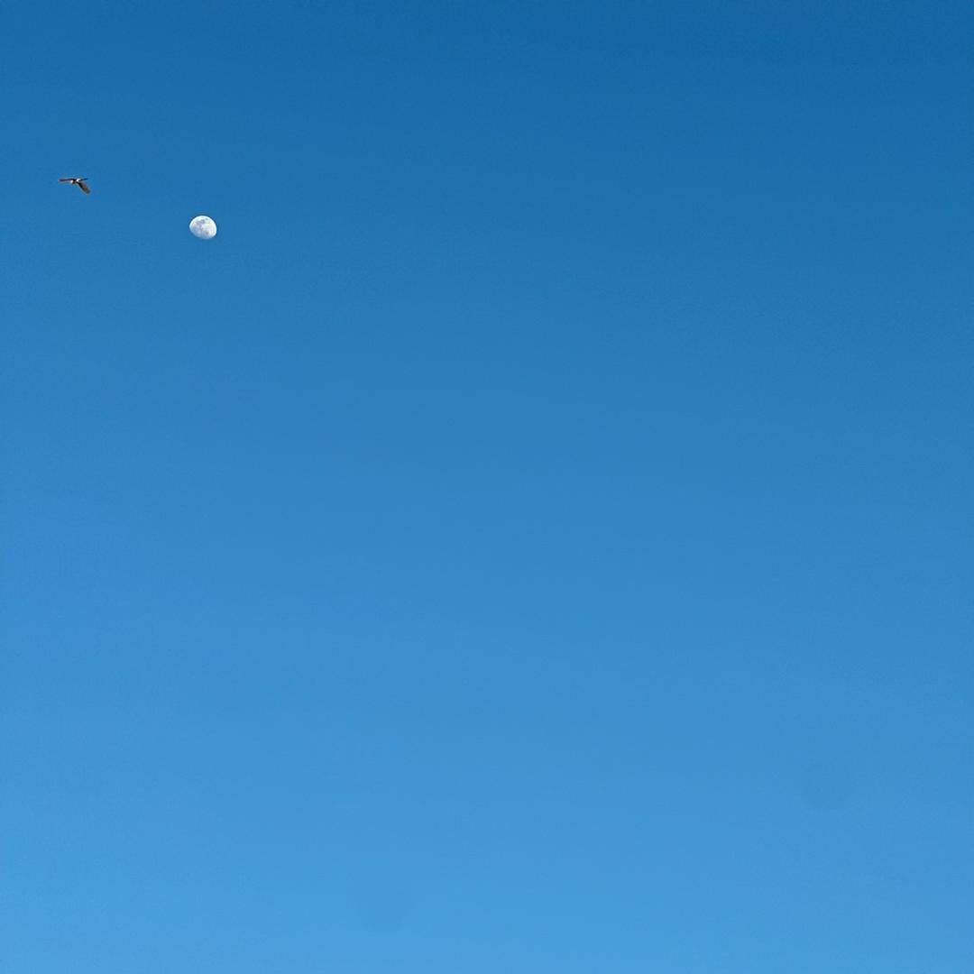 闯海人