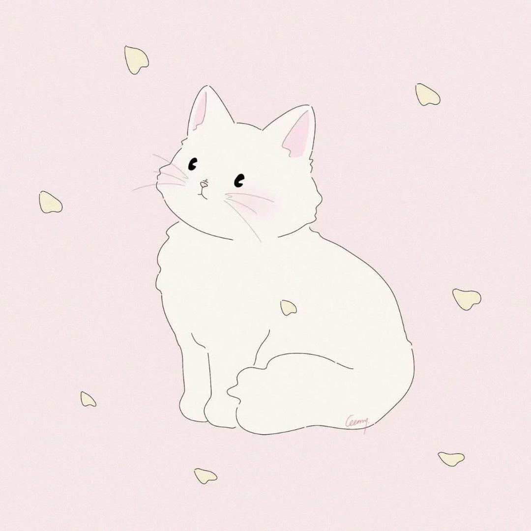 呼呼