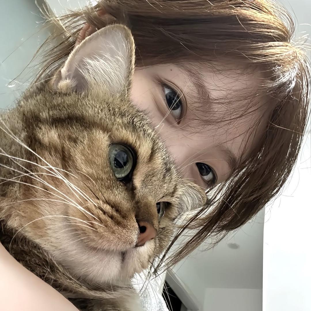 爱睡懒觉的Q