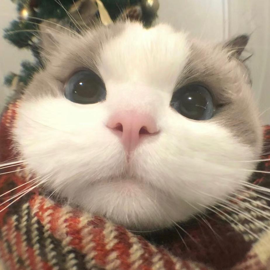康聊时机