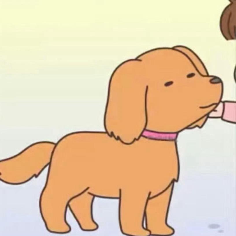 O _ o