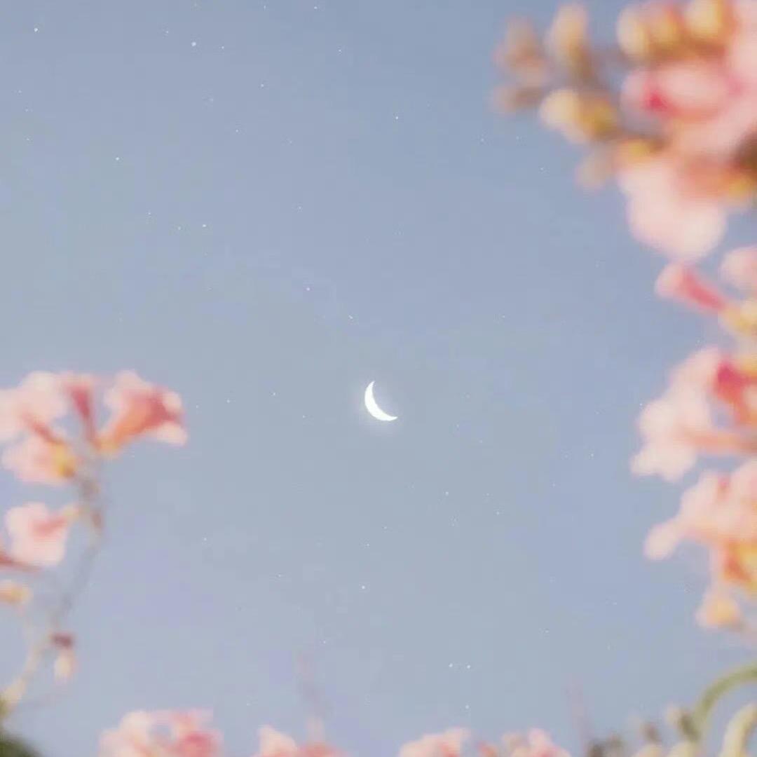 ruo_0921〔40｜H〕