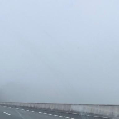 固执的坚持