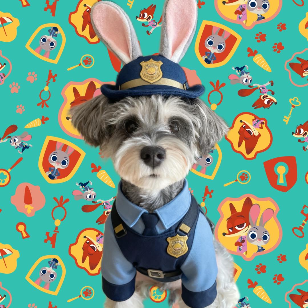 𝓬𝓱𝓮𝓷𝓰.🦄️