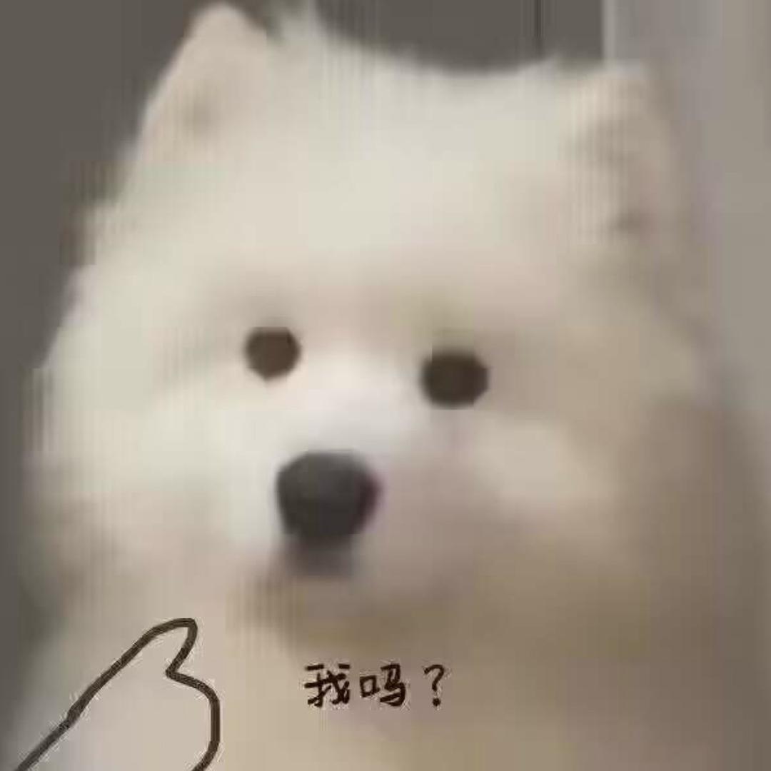 被老鼠夹夹脚狗妈妈救助/有意向帮助找我说