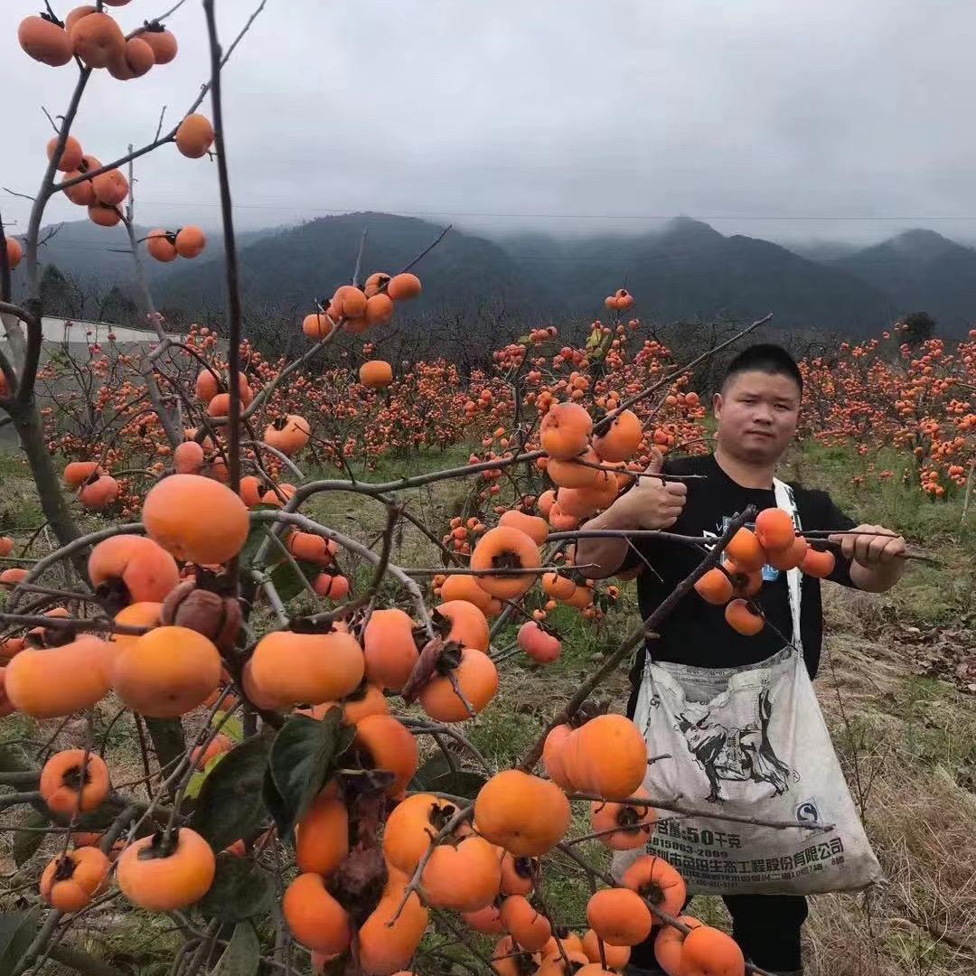 宾哥暮雪农产品优选