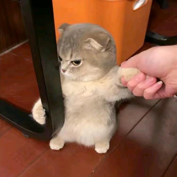与ۣۖิۣ爱ۣۖิۣ♡