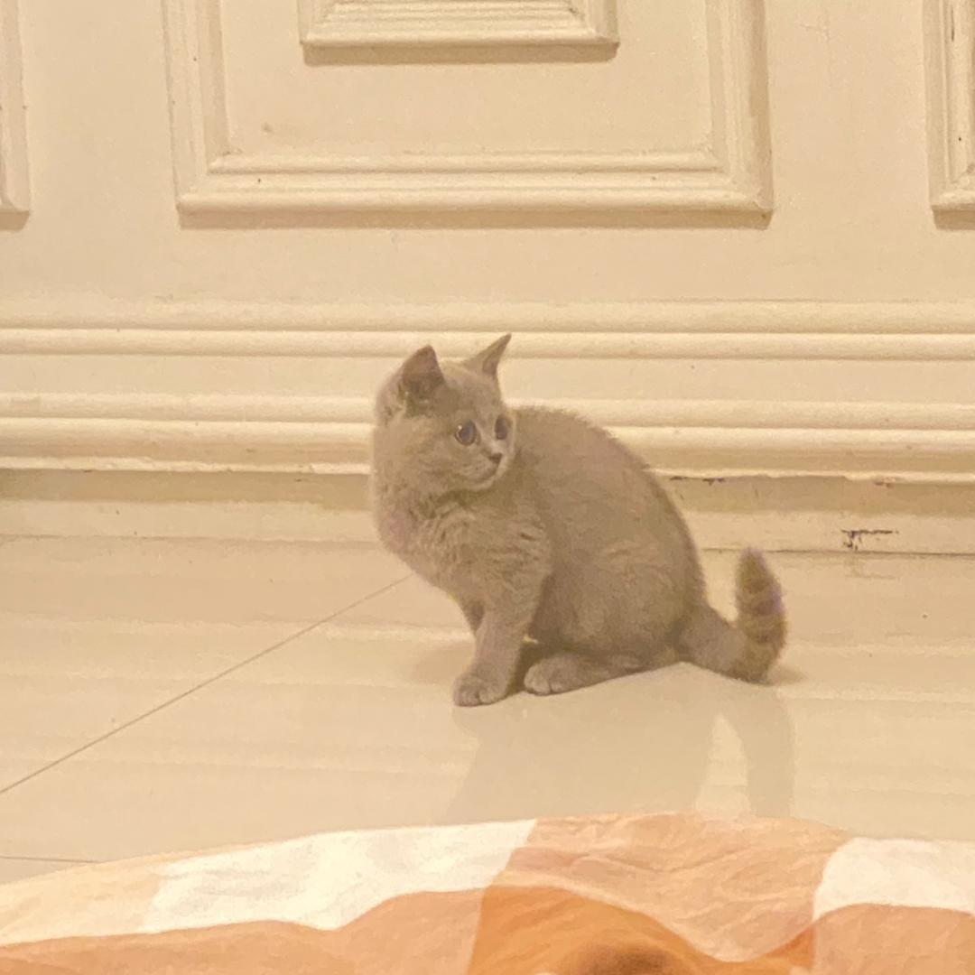 山顶人