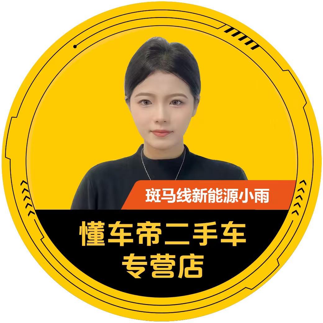 懂车帝·斑马线新能源小雨
