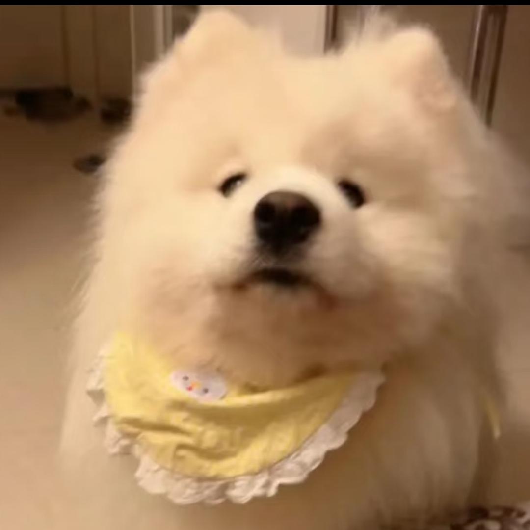 JON