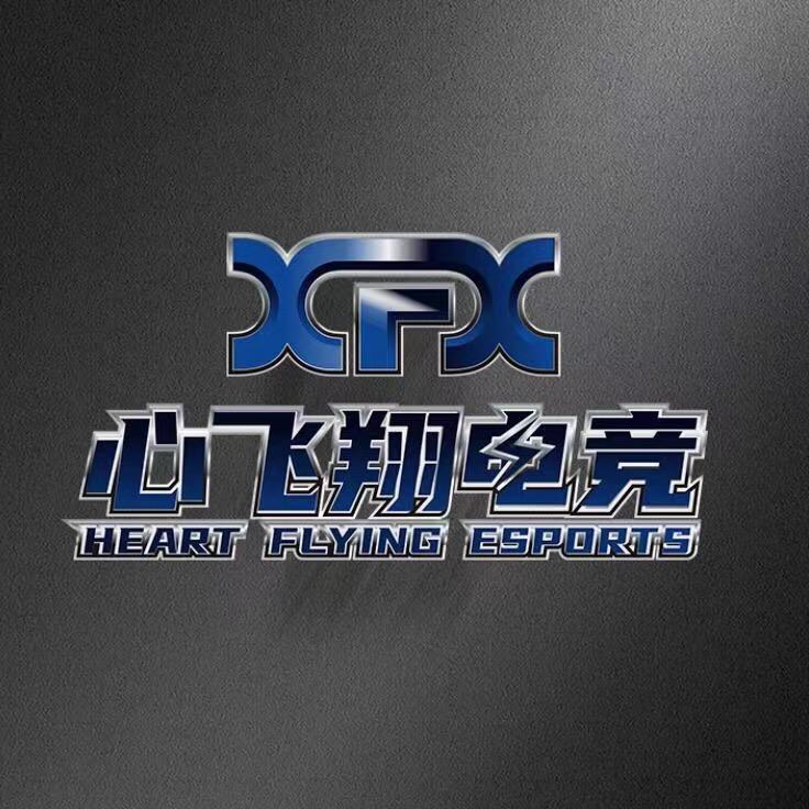 心飞翔电竞(融融店)