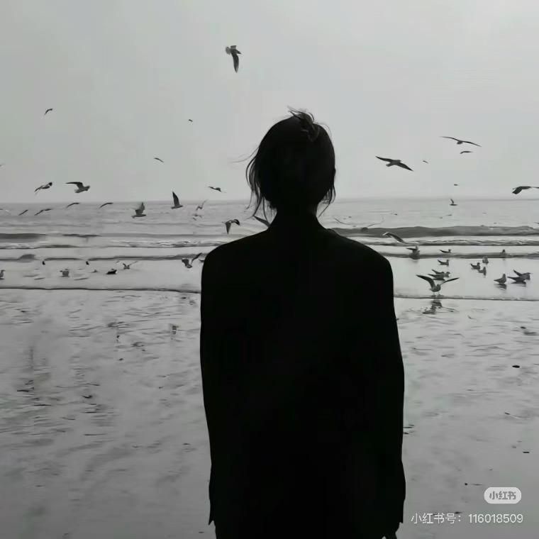 奶油味的考拉