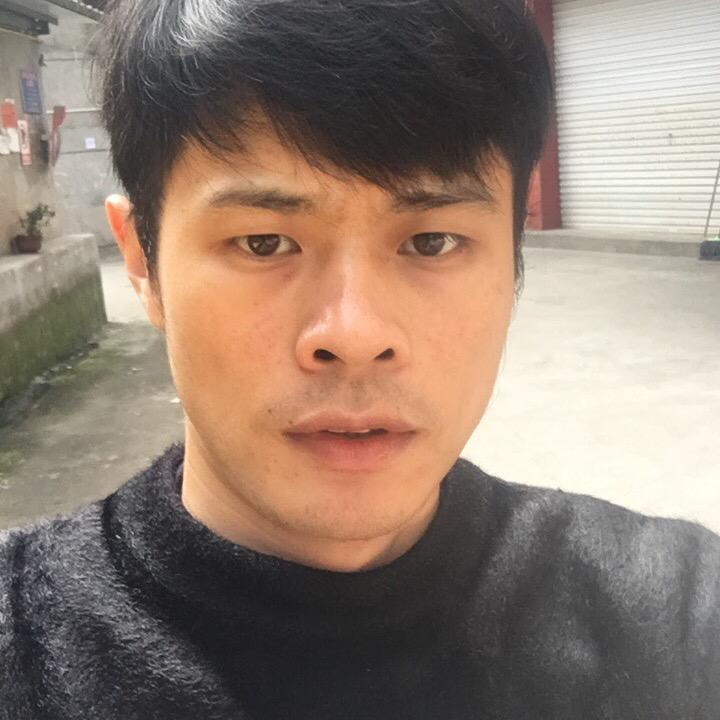 金飞马
