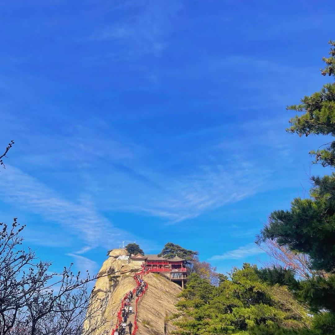 ✨春风十里、不如你