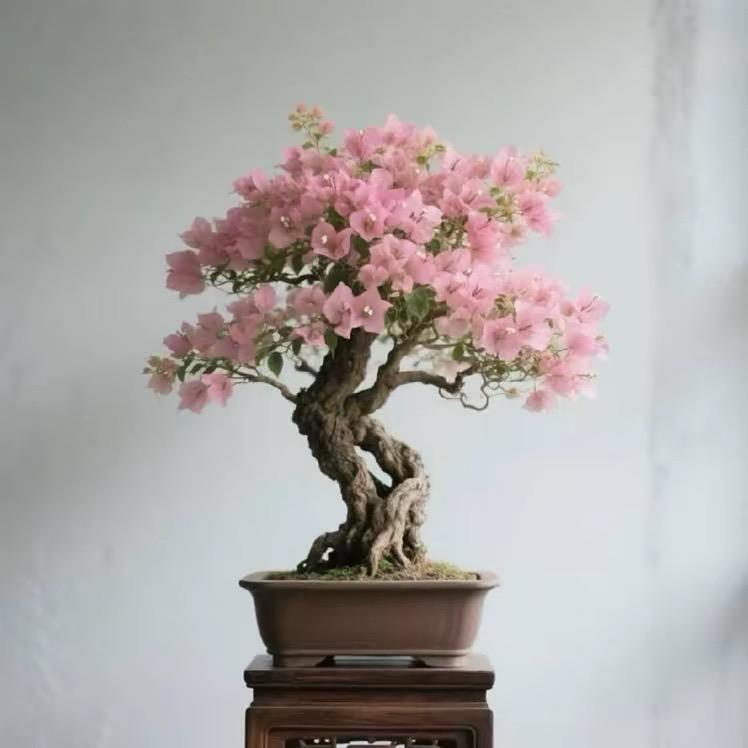 一路生花