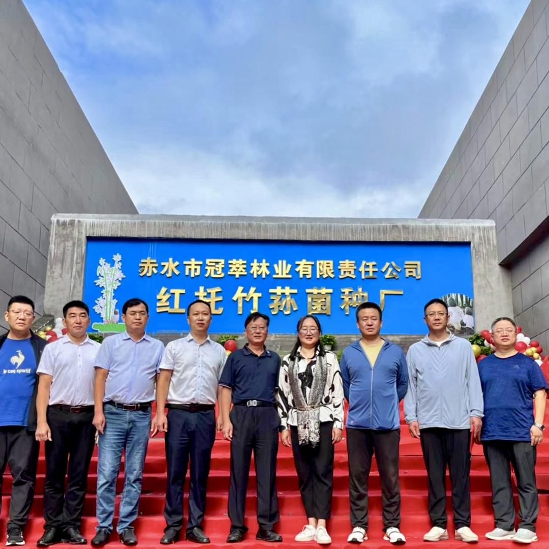 冠萃林业-技术部