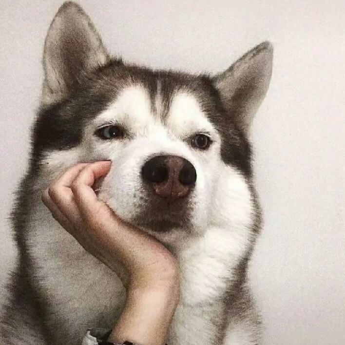 烟台螺丝大全仓储批发