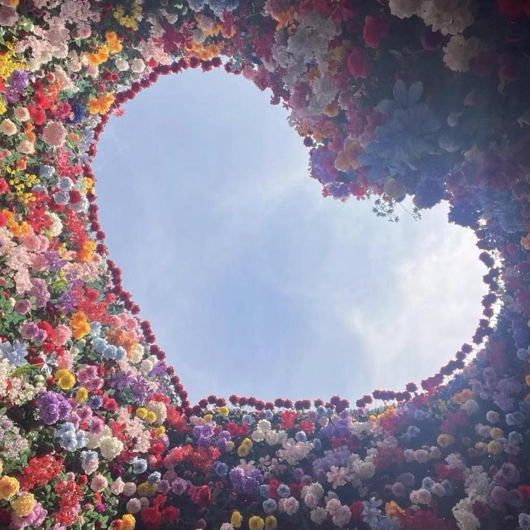 哈哈哈哈哈哈哈