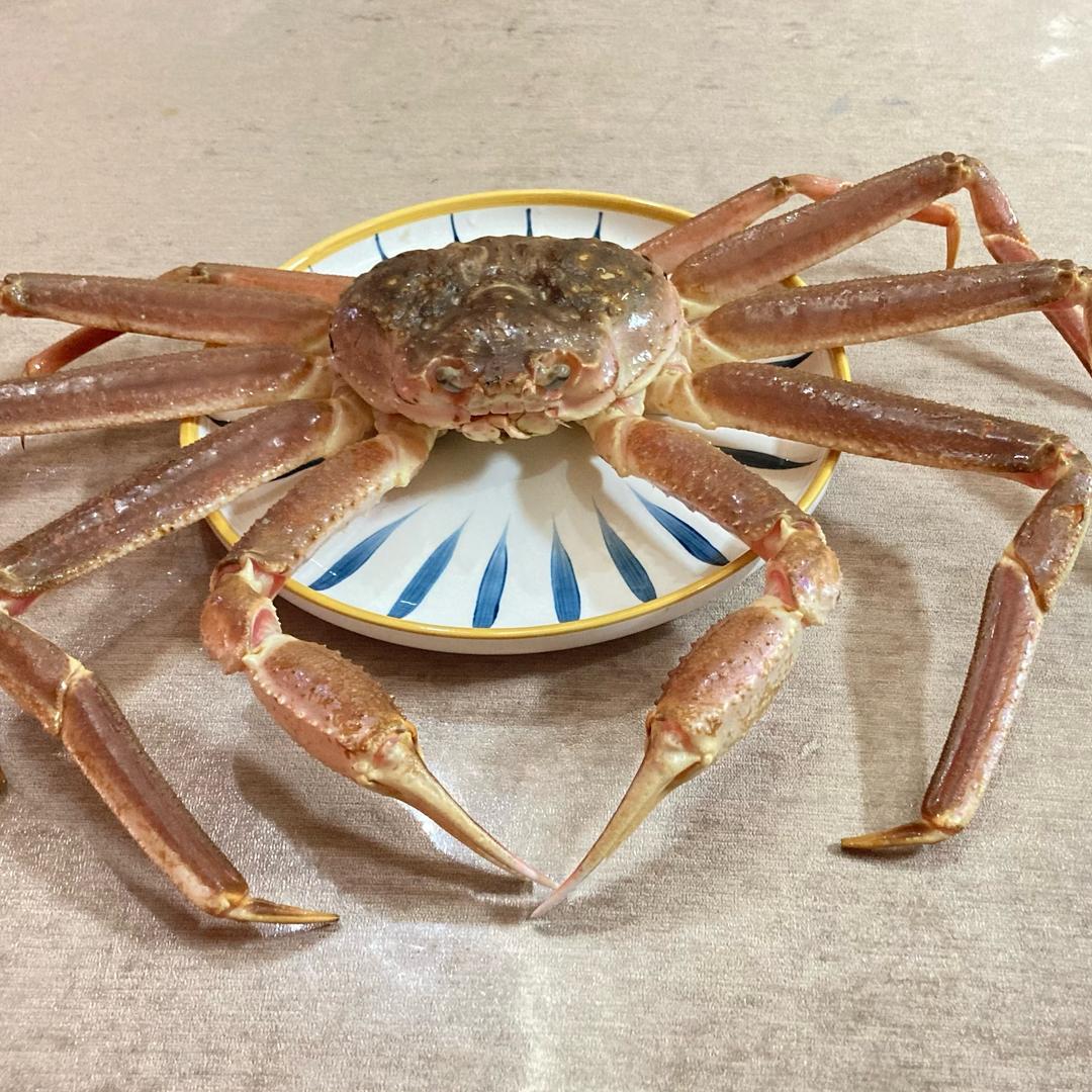 💗᭄暖心💞⃨⁵²⁰