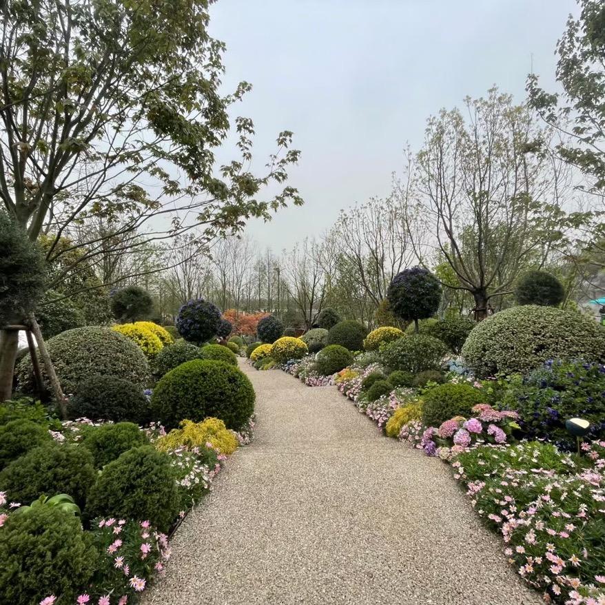 桐乡宜人园艺承接绿化工程、绿植租摆