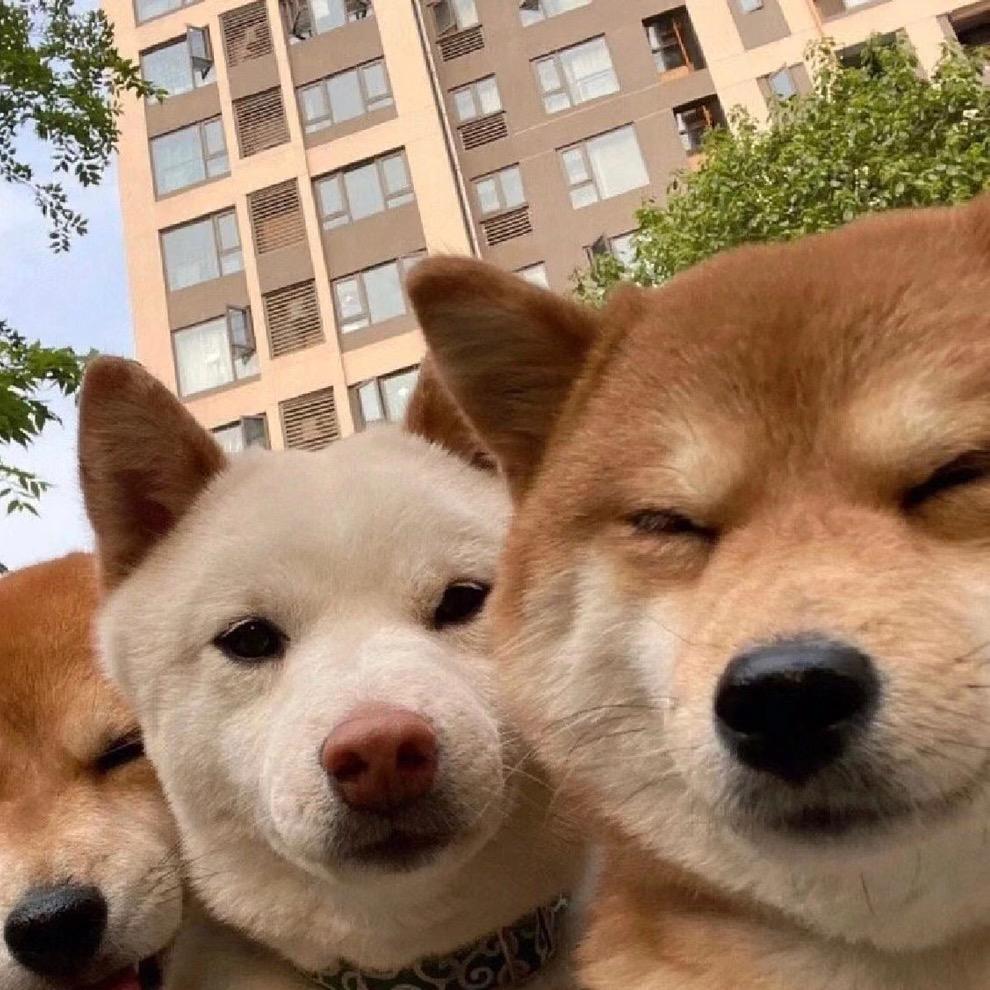 龙年剧场