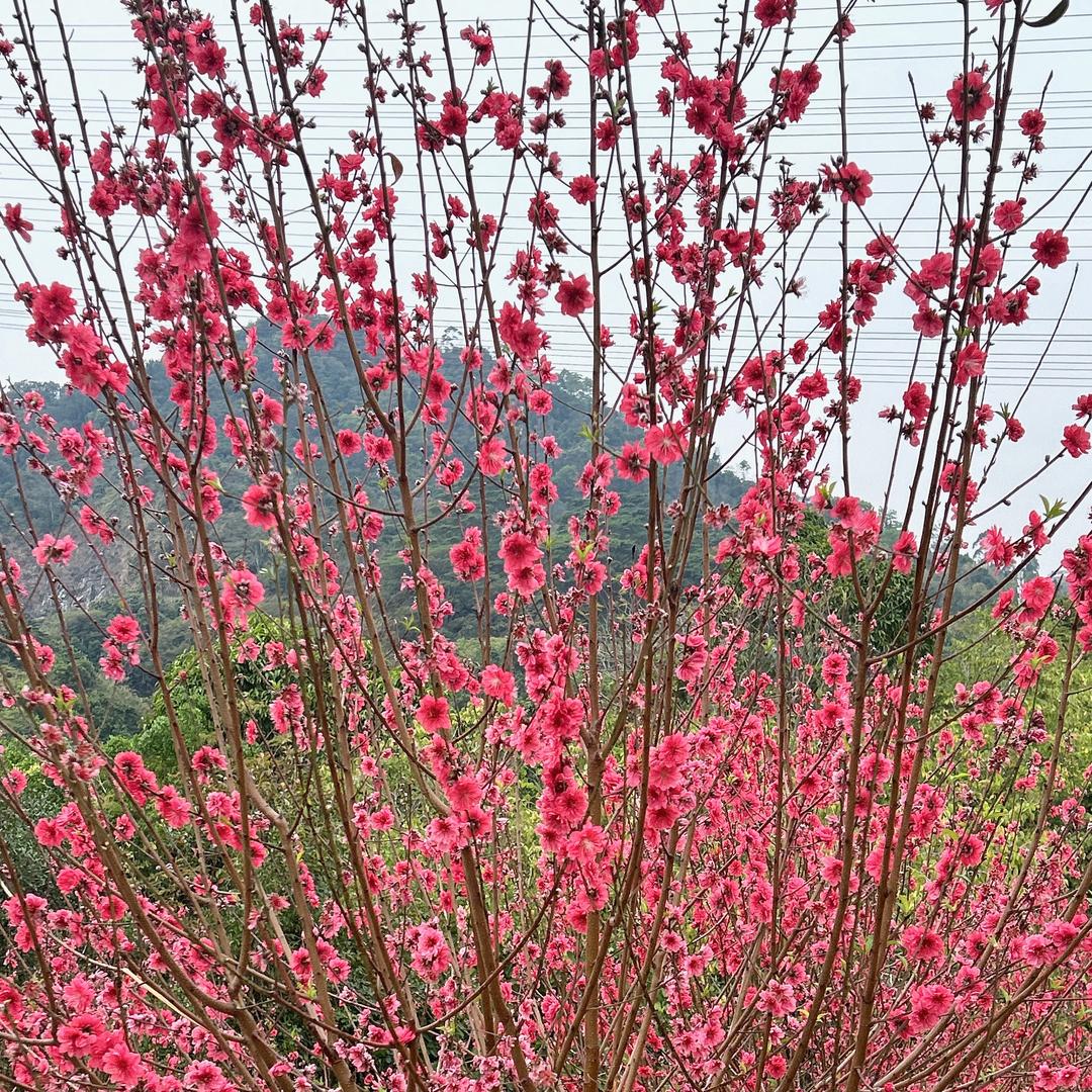 新手学剪辑