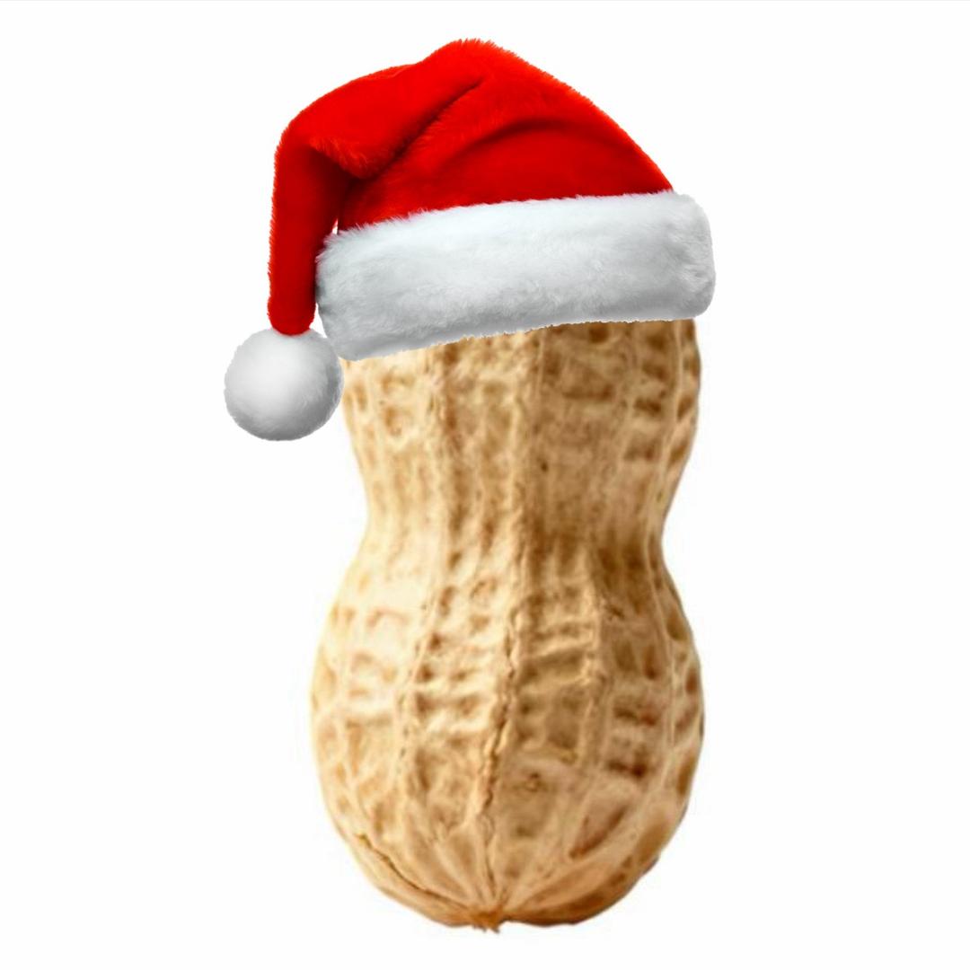 花生酱酱酿酿紫🫧🐟🥕🐰