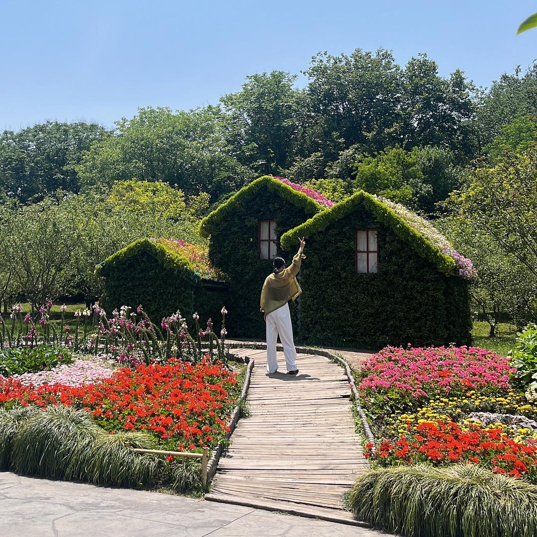 🌸好运🍀加🈵