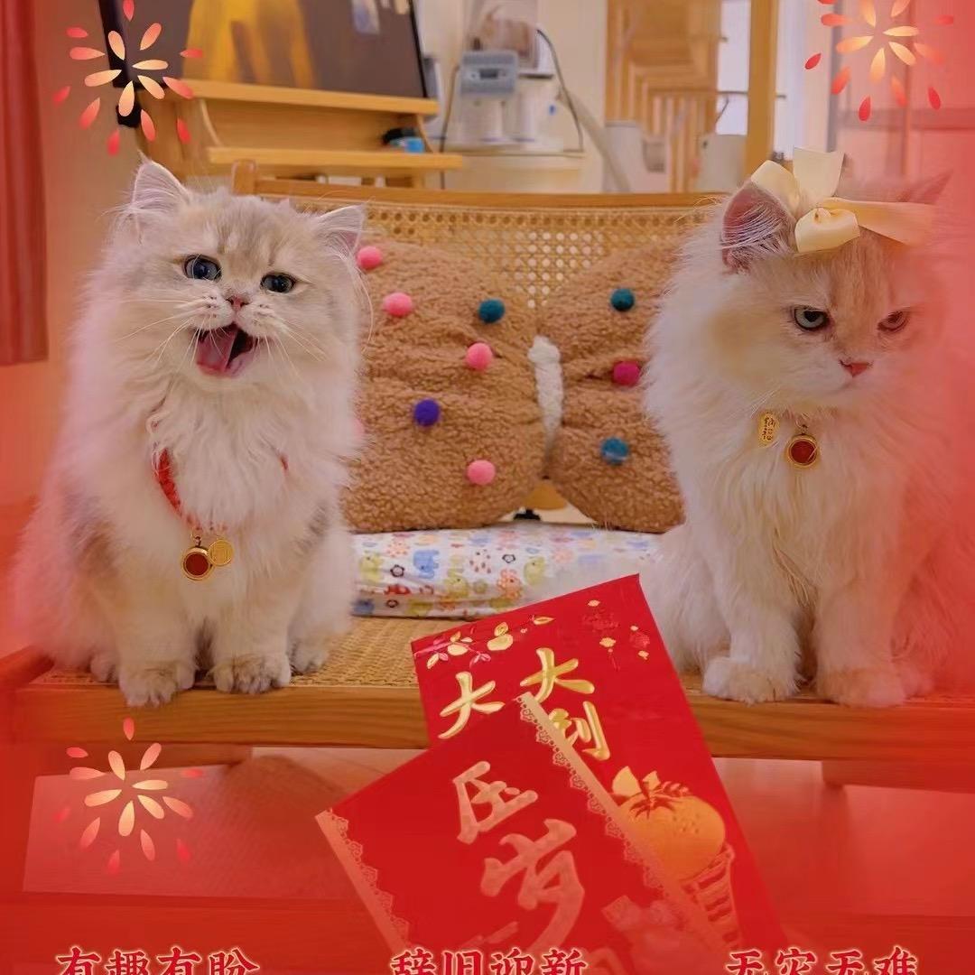 美食宝宝