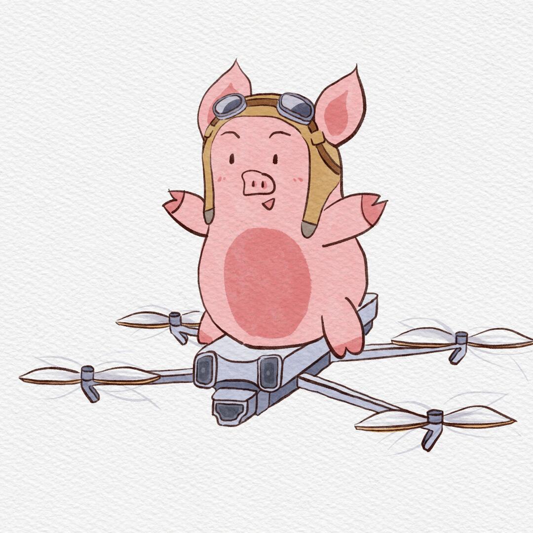 西藏蜂巢通讯科技有限公司