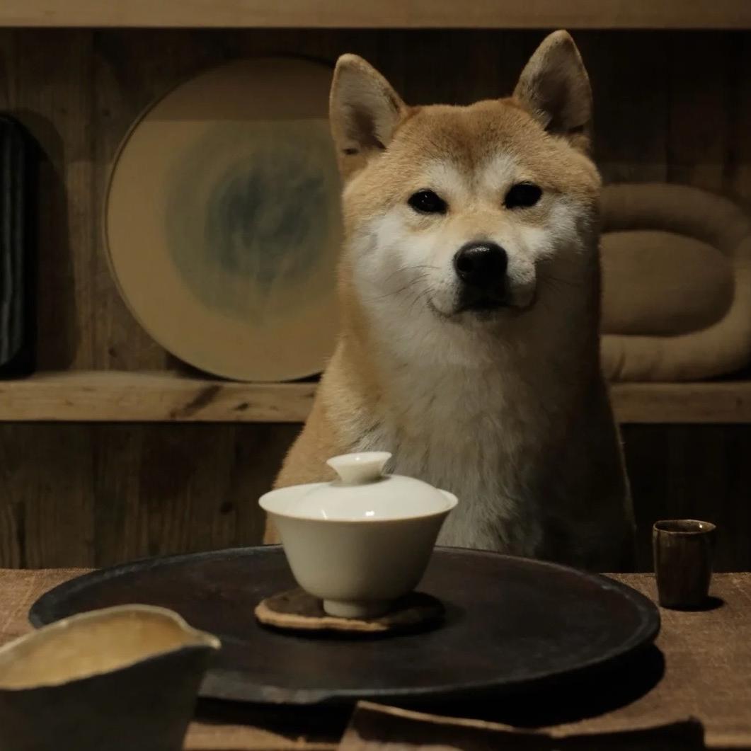 茶语之间